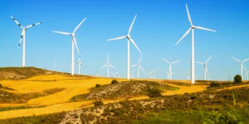 Aut. bearphotos z Freepik