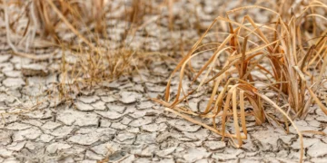 Aut. grvstudio z Freepik