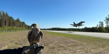 Ćwiczenie ROUTE 604 fot. Wiesław Kukuła