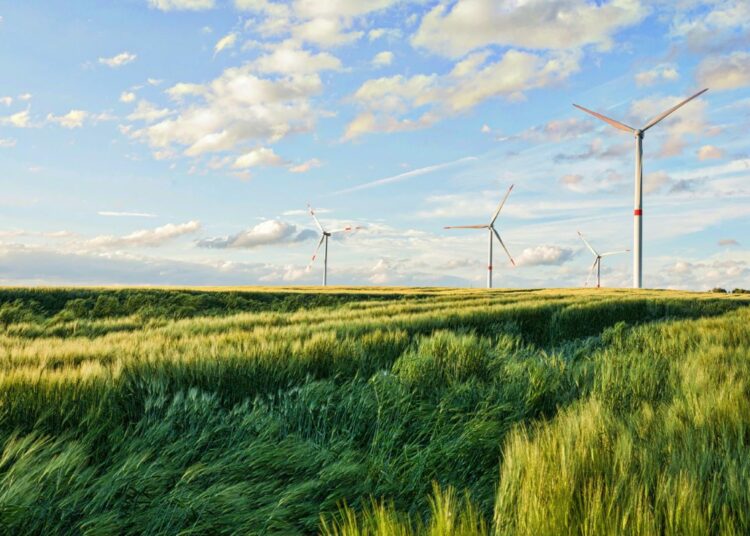 Odnawialne Źródła Energii fot Freepik